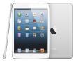 iPad mini 16 Gb + 4g