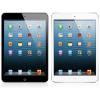 iPad mini 16 Gb wi-fi