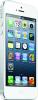 iPhone 5 64Gb Black and White
